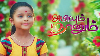 Abiyum Nanum - Sun TV Serial