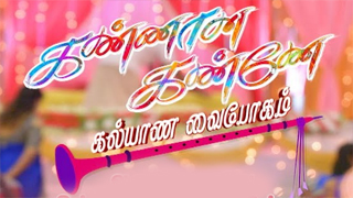 Kannana Kanne - Sun TV Tamil Serial