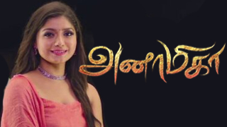 Anamika-Sun TV Tamil Serial
