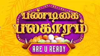 Pandigai Palagaram Are U Ready-Vijay tv Show